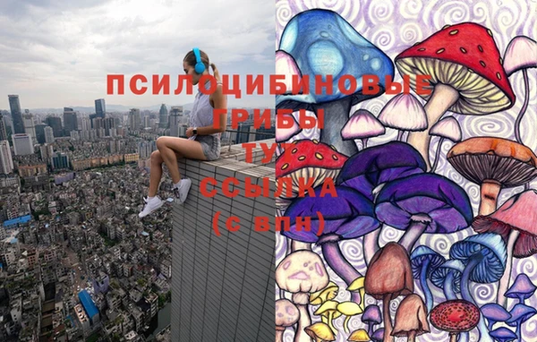 бутират Алексин