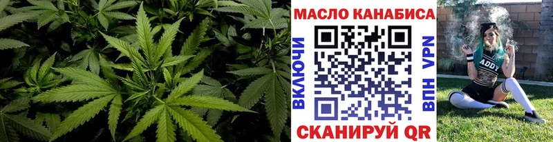 Купить  Высоцк  Дистиллят ТГК Wax 